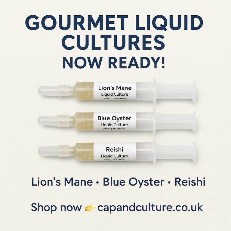 Gourmet liquid cultures -lions mane, Reishi, and Oyster - Cap and Culture