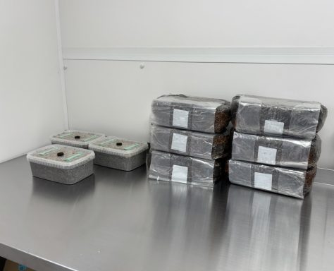 cap-culture-sterile-production-area Freshly prepared substrate bags and grow tubs in the Cap & Culture sterile workspace