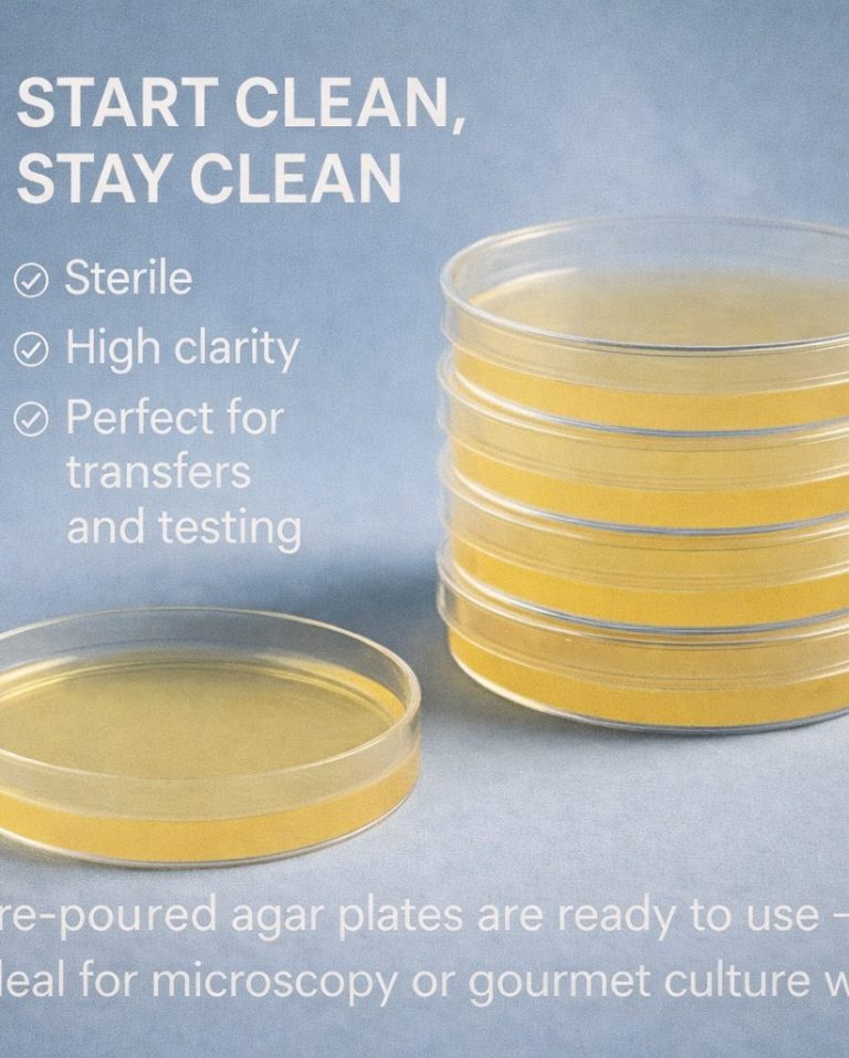 Sterile LME agar plates for microscopy and gourmet culture work - Cap and Culture